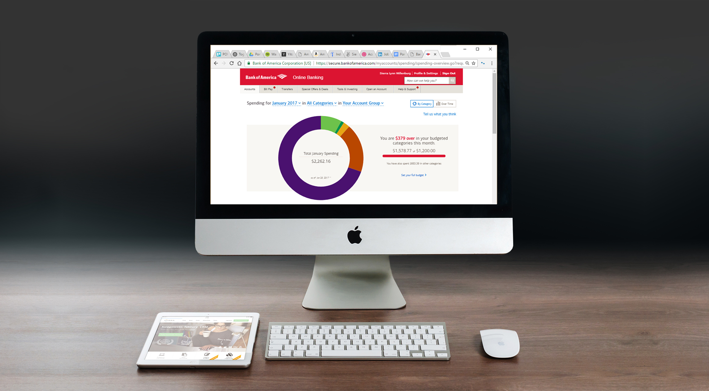 Collaborated on user journeys and UI mock-ups for Bank of America’s budgeting tools
